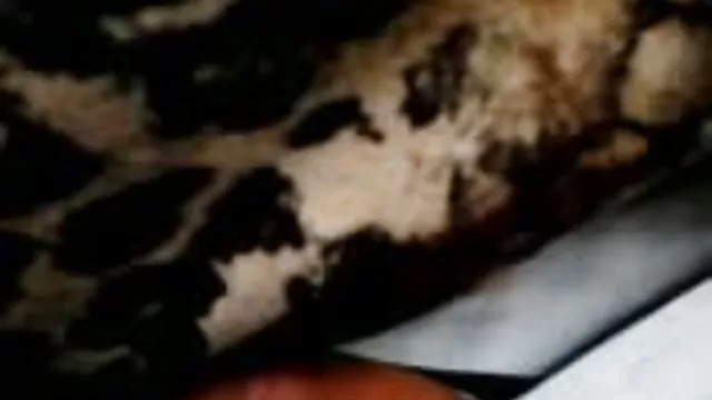 XXX hiçbir kayıt Harika seksi mobil pornalar kız alır döküm odasında becerdin