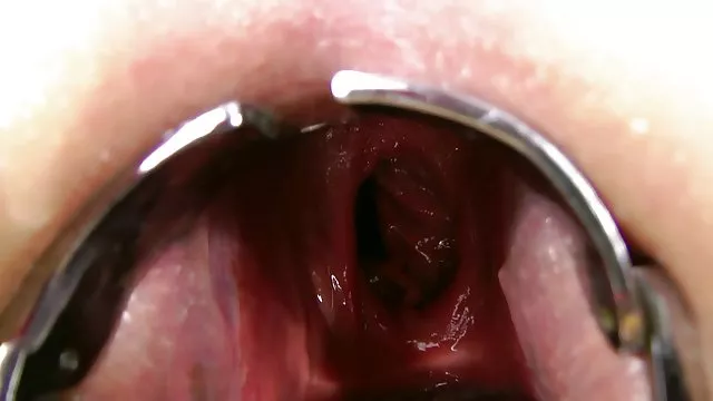 XXX hiçbir kayıt BDSM esaret seks tekerlek Daire anal mobil DP